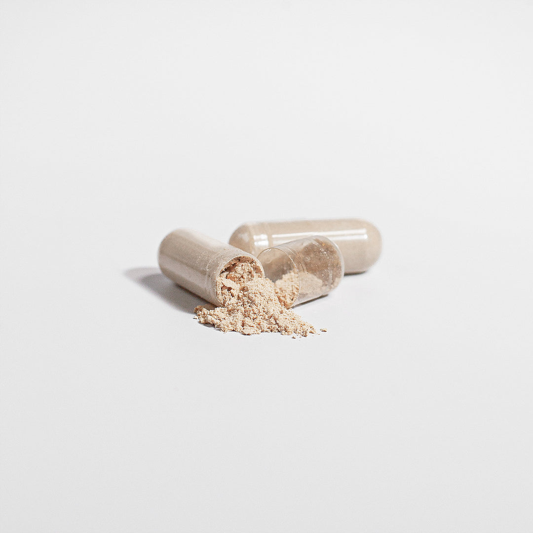 Organic Lion's Mane Mushroom -1000 mg