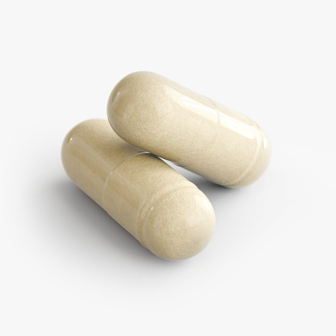 MetaboDigest (ACV+Prebiotic+Probiotic+Digezyme)