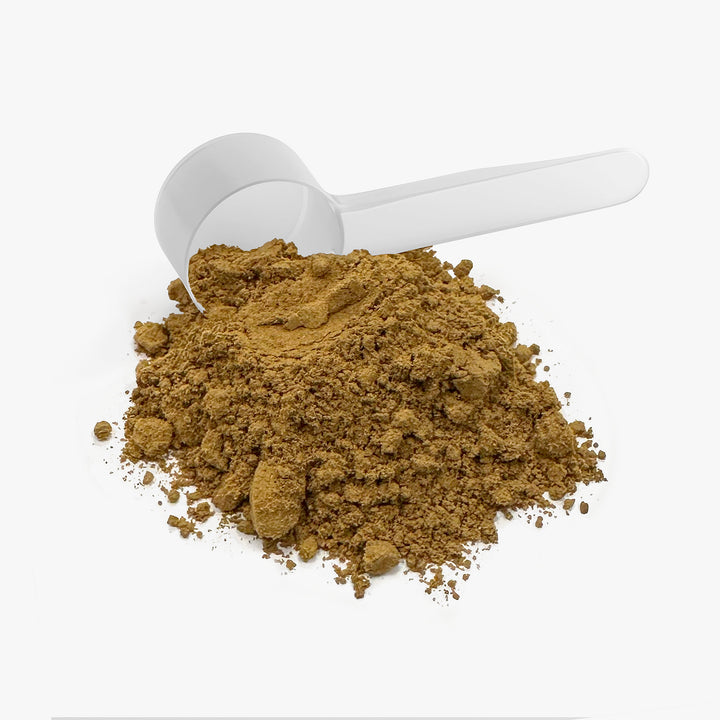 KǑVR — LUCID - Instant Mushroom Coffee (Low Acidity)