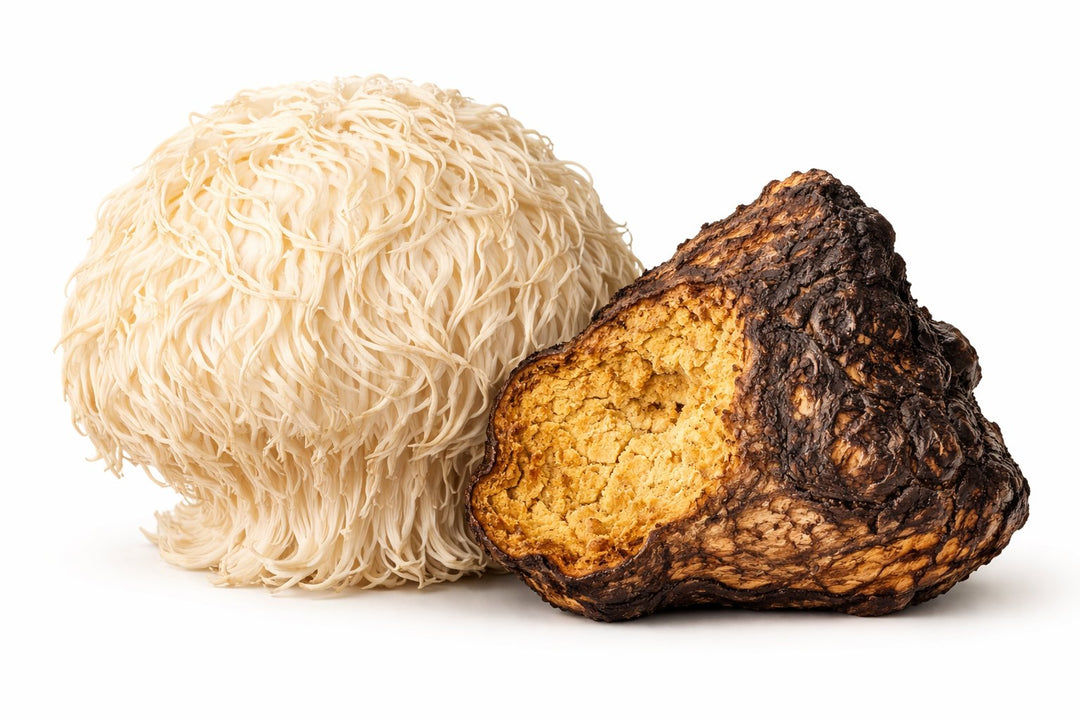 KÕVR — MIND FUSION  - Instant Mushroom Coffee (Medium Roast)