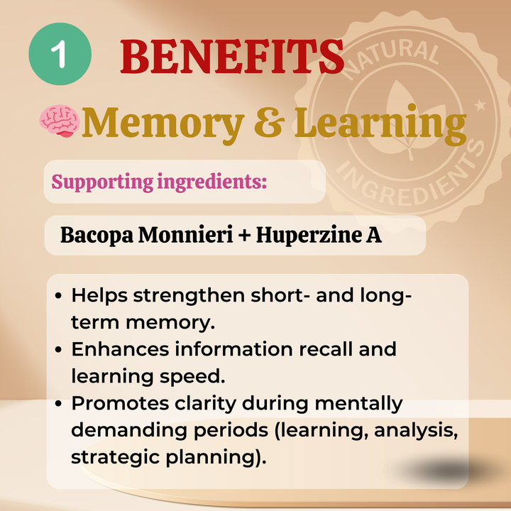 Core Mind : Non-Stimulant Nootropic Brain Supplement (with DMAE, Bacopa, Huperzine A Formula)