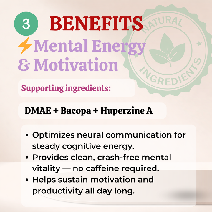Core Mind : Non-Stimulant Nootropic Brain Supplement (with DMAE, Bacopa, Huperzine A Formula)