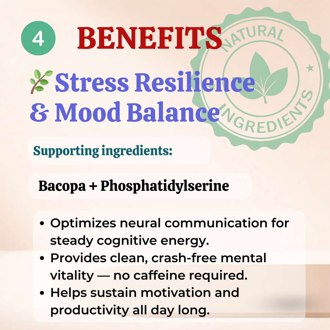 Core Mind : Non-Stimulant Nootropic Brain Supplement (with DMAE, Bacopa, Huperzine A Formula)