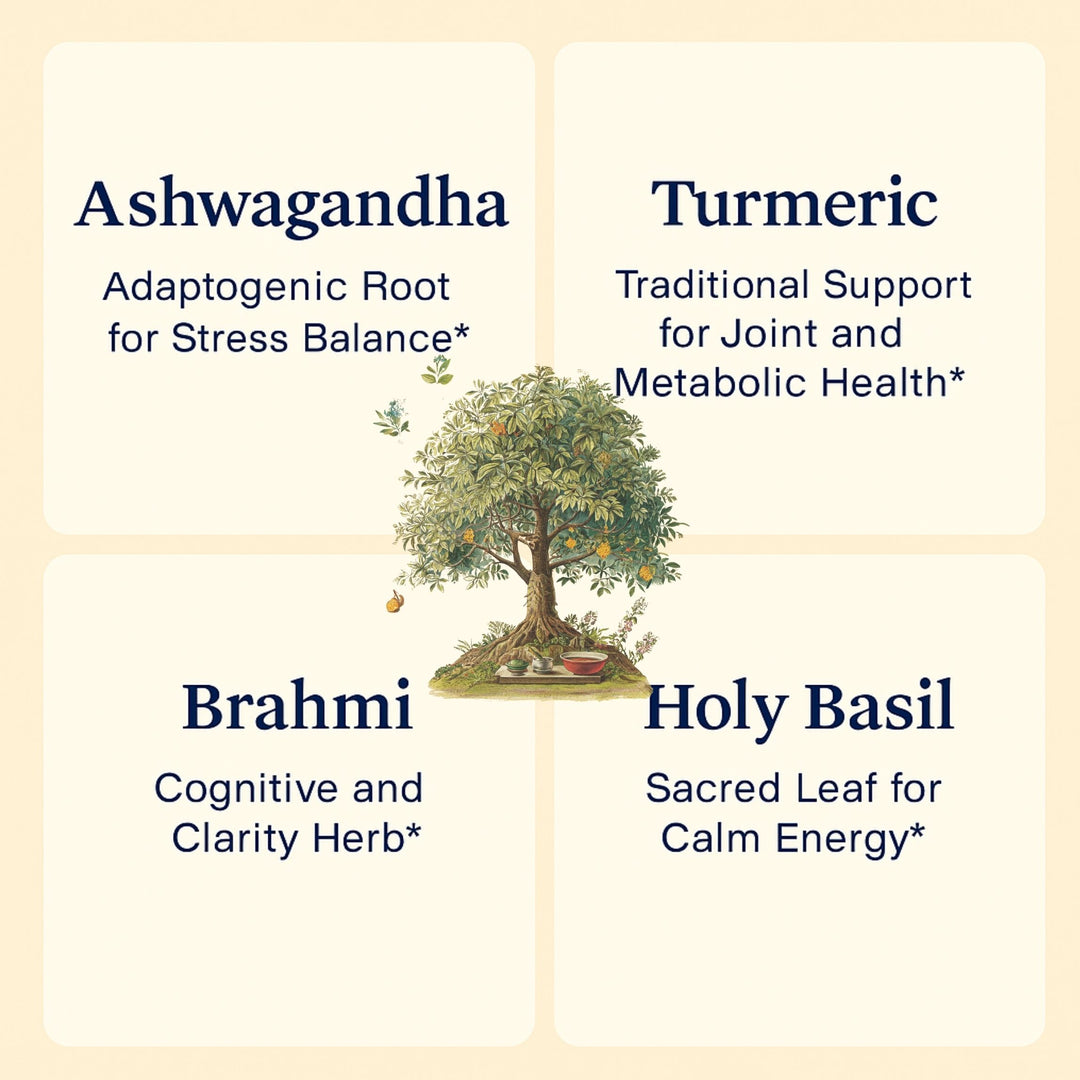 Ayurvedic Complex – Adaptogenic Balance & Vitality Support