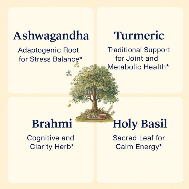 Ayurvedic Complex – Adaptogenic Balance & Vitality Support
