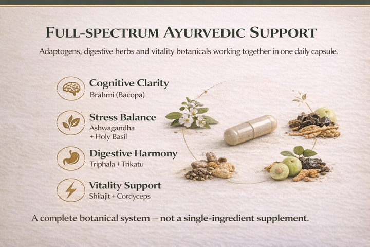 Ayurvedic Complex – Adaptogenic Balance & Vitality Support